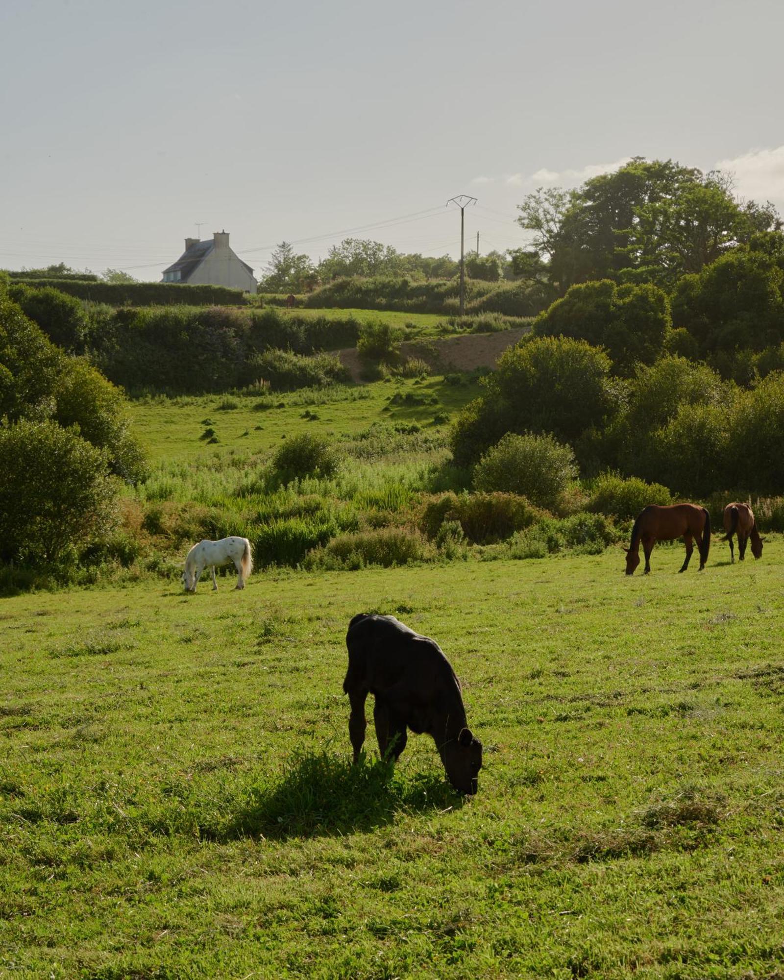 Les Ecuries Du Nevez Villa Plonéour-Lanvern Buitenkant foto