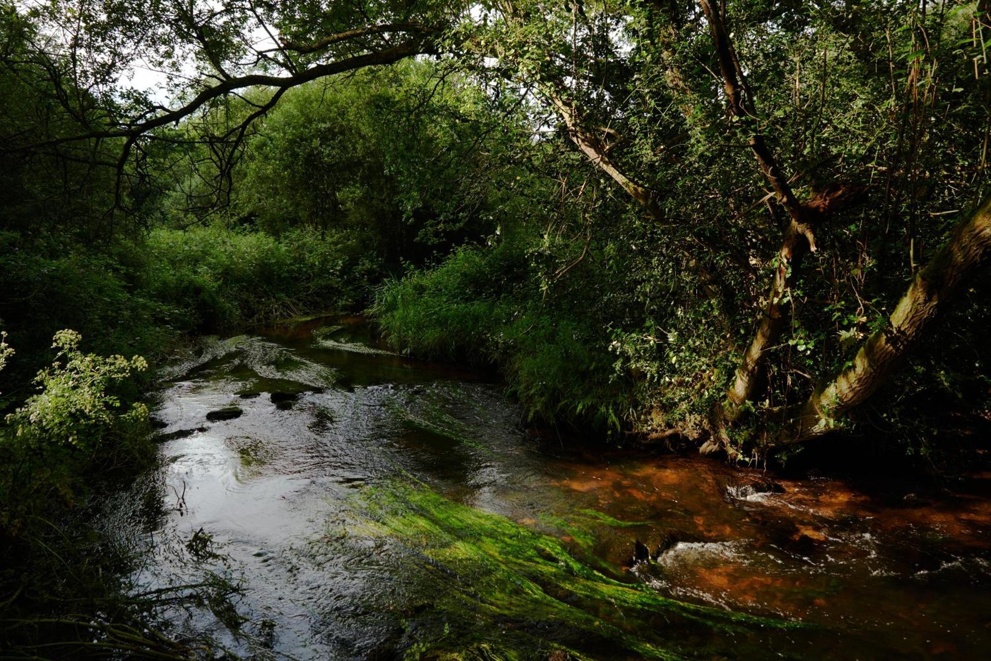 Les Ecuries Du Nevez Villa Plonéour-Lanvern Buitenkant foto